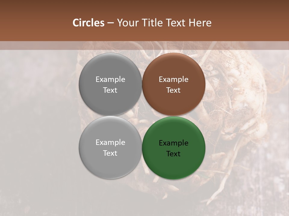 Wooden Vegetarian Leaf PowerPoint Template