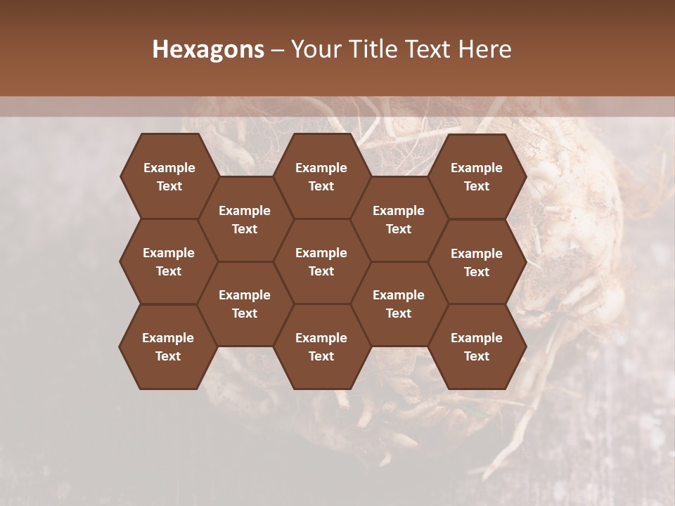 Wooden Vegetarian Leaf PowerPoint Template