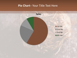 Wooden Vegetarian Leaf PowerPoint Template