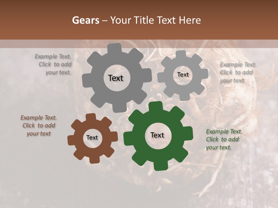 Wooden Vegetarian Leaf PowerPoint Template