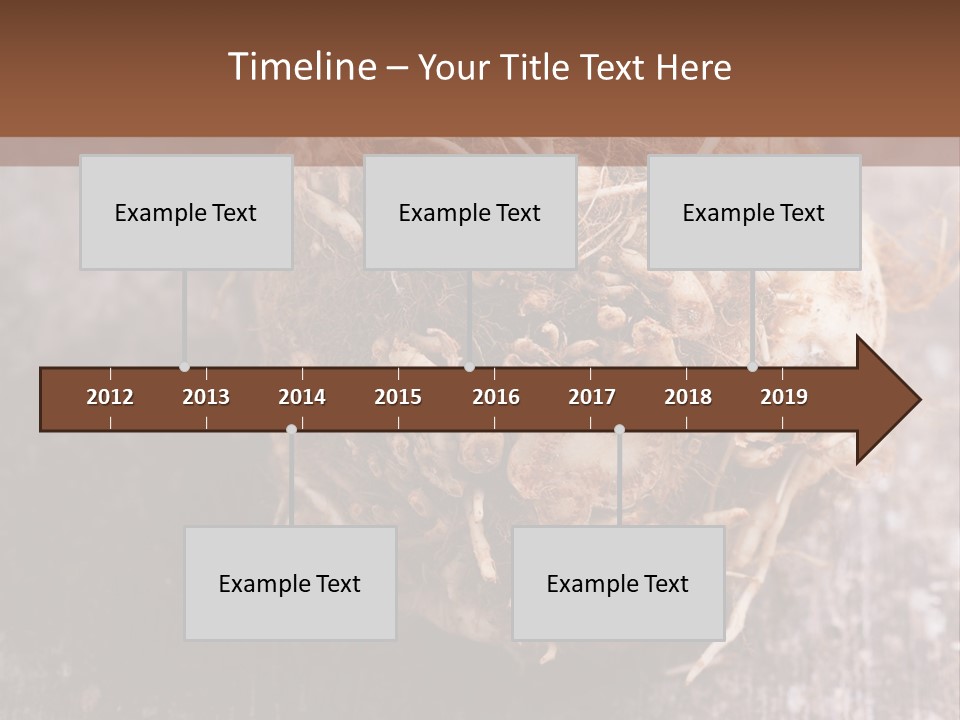 Wooden Vegetarian Leaf PowerPoint Template