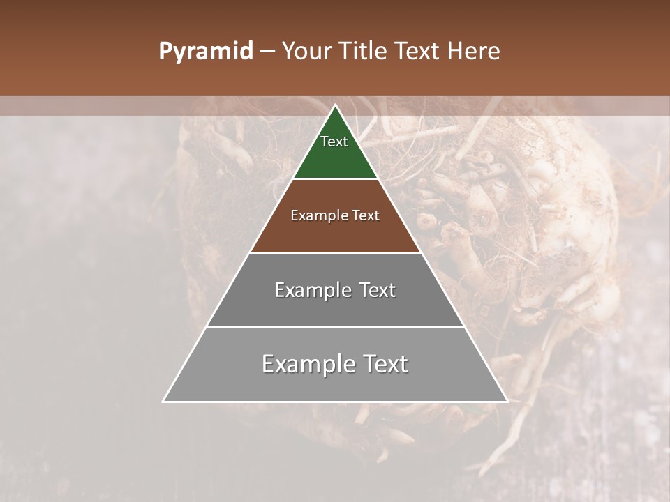 Wooden Vegetarian Leaf PowerPoint Template