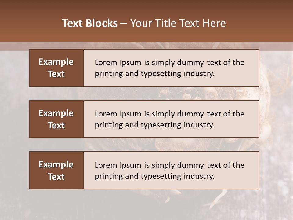 Wooden Vegetarian Leaf PowerPoint Template