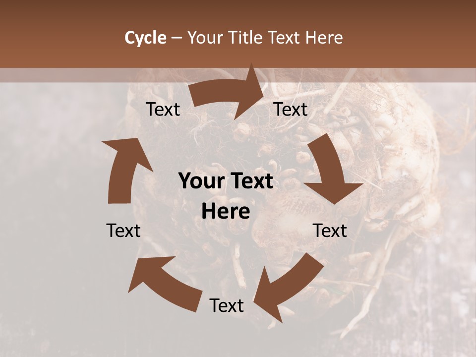 Wooden Vegetarian Leaf PowerPoint Template