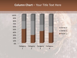 Wooden Vegetarian Leaf PowerPoint Template