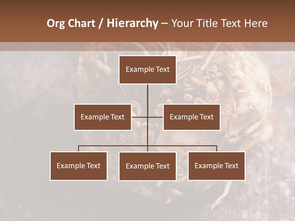 Wooden Vegetarian Leaf PowerPoint Template