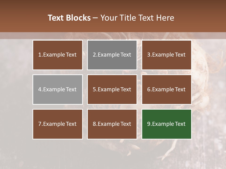 Wooden Vegetarian Leaf PowerPoint Template
