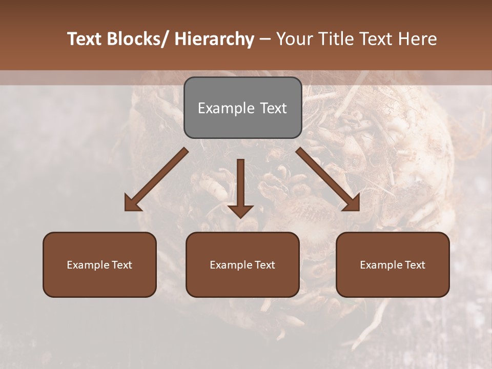 Wooden Vegetarian Leaf PowerPoint Template