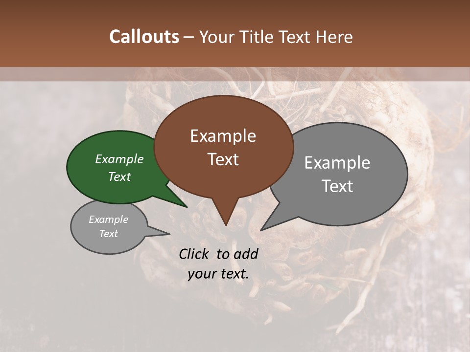 Wooden Vegetarian Leaf PowerPoint Template