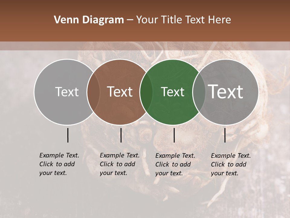 Wooden Vegetarian Leaf PowerPoint Template