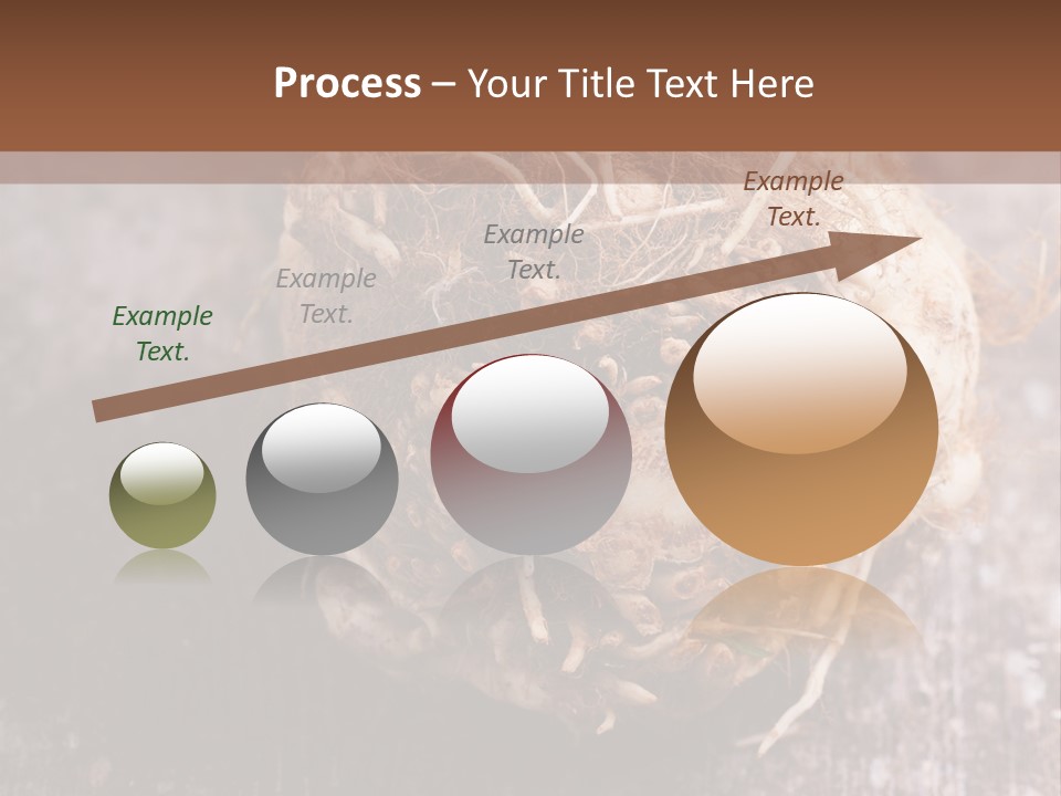 Wooden Vegetarian Leaf PowerPoint Template