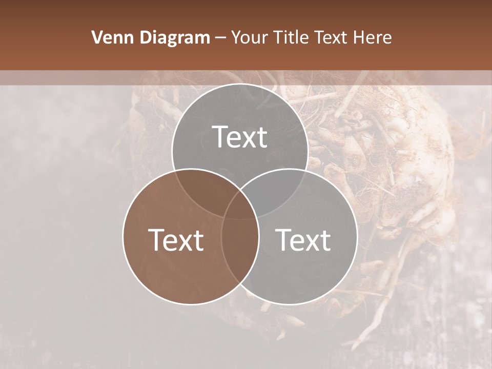 Wooden Vegetarian Leaf PowerPoint Template