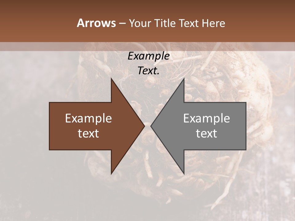 Wooden Vegetarian Leaf PowerPoint Template
