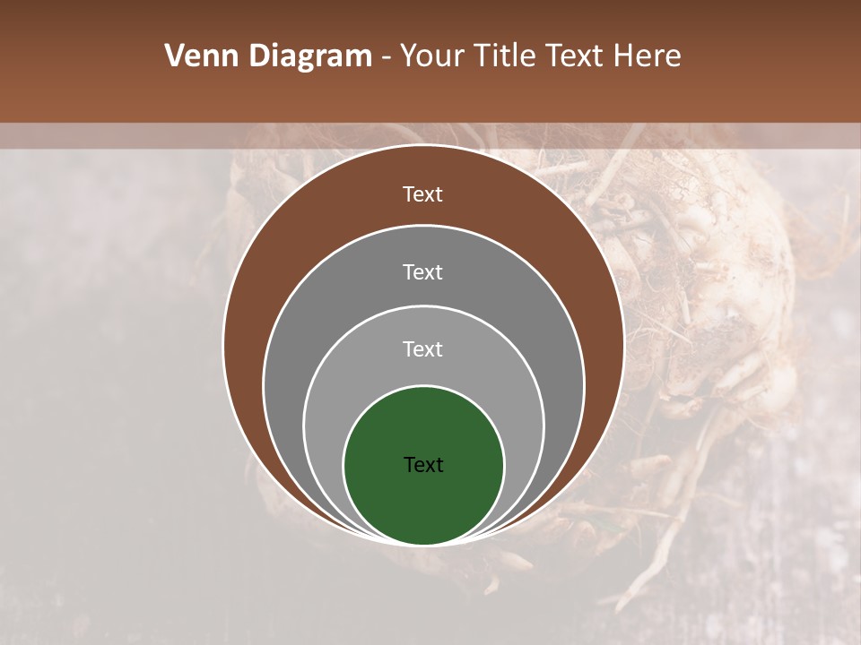 Wooden Vegetarian Leaf PowerPoint Template
