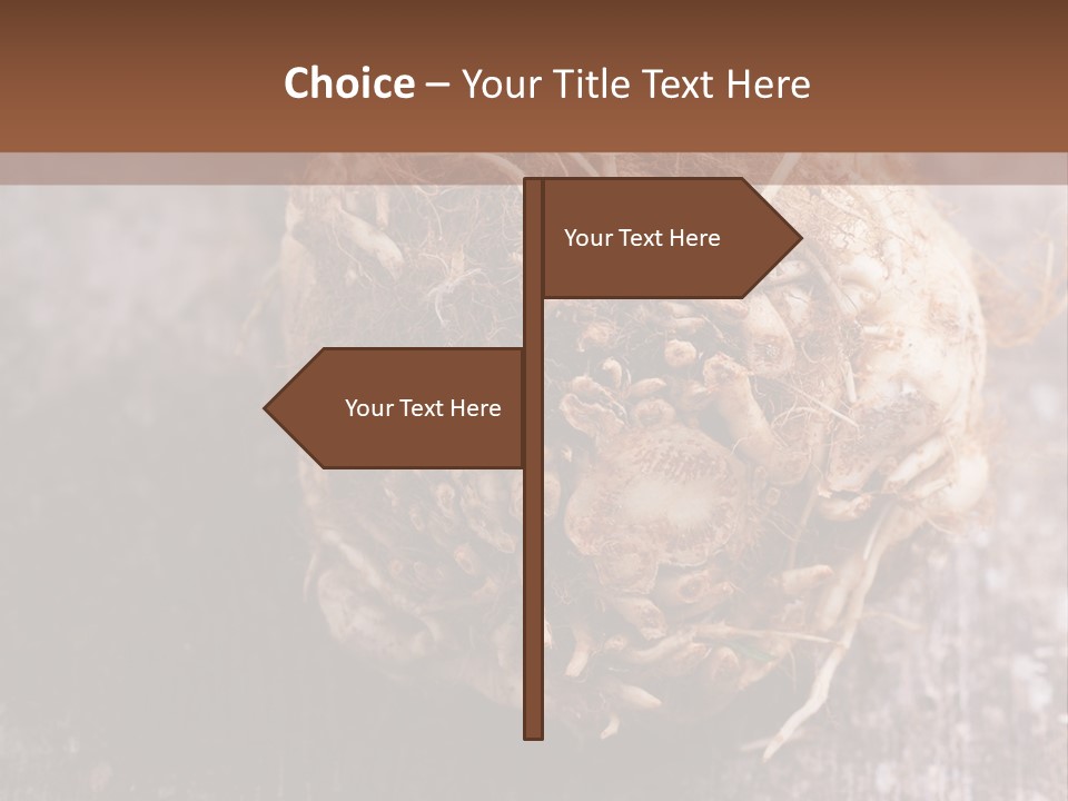 Wooden Vegetarian Leaf PowerPoint Template