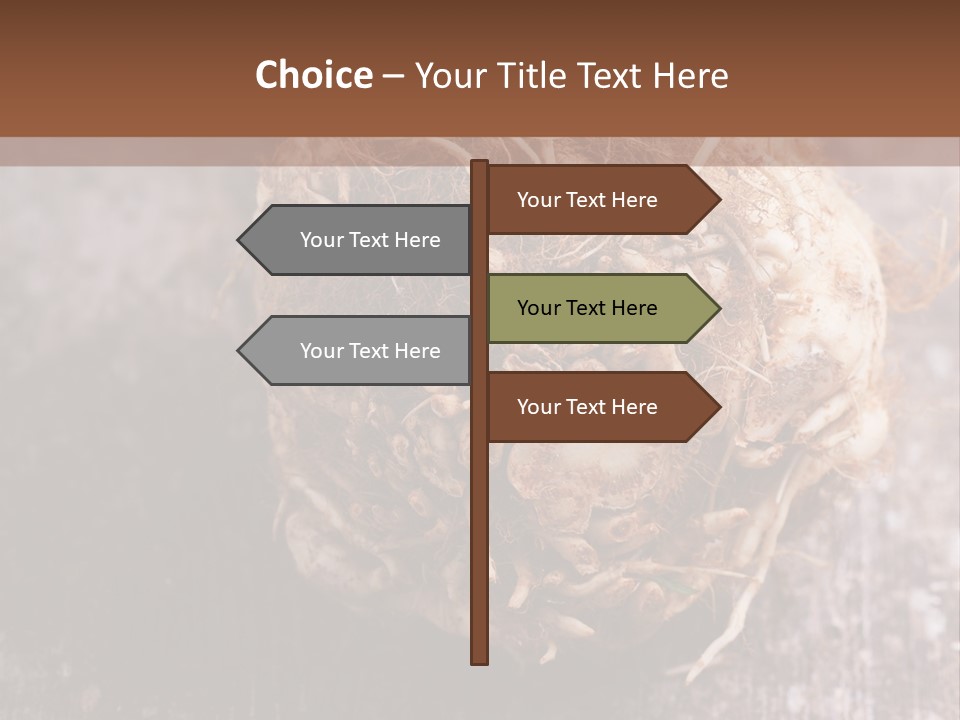 Wooden Vegetarian Leaf PowerPoint Template
