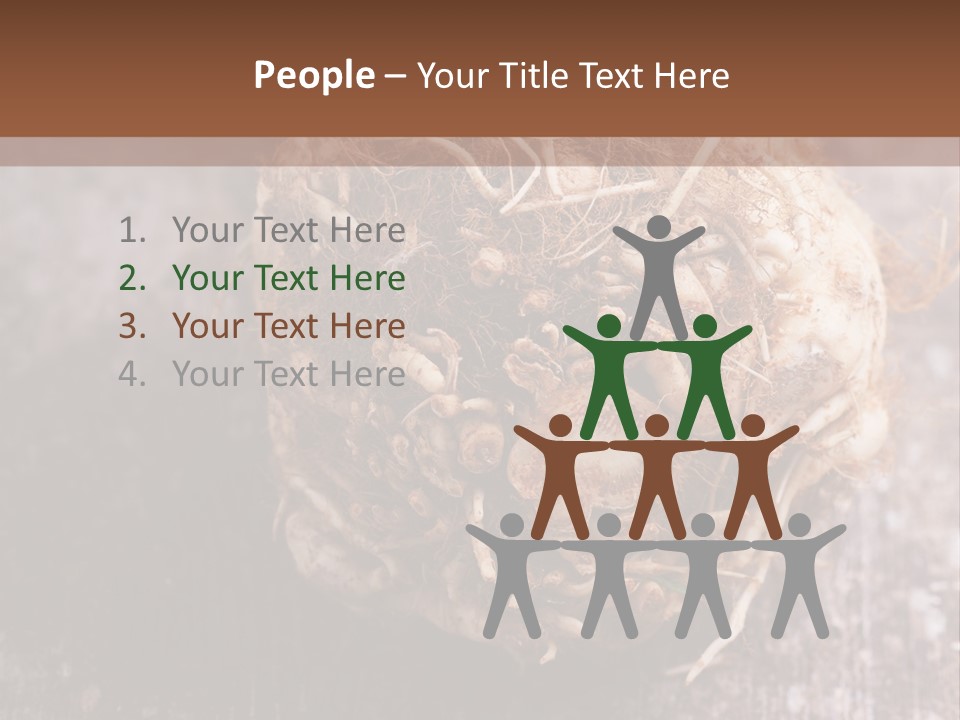 Wooden Vegetarian Leaf PowerPoint Template