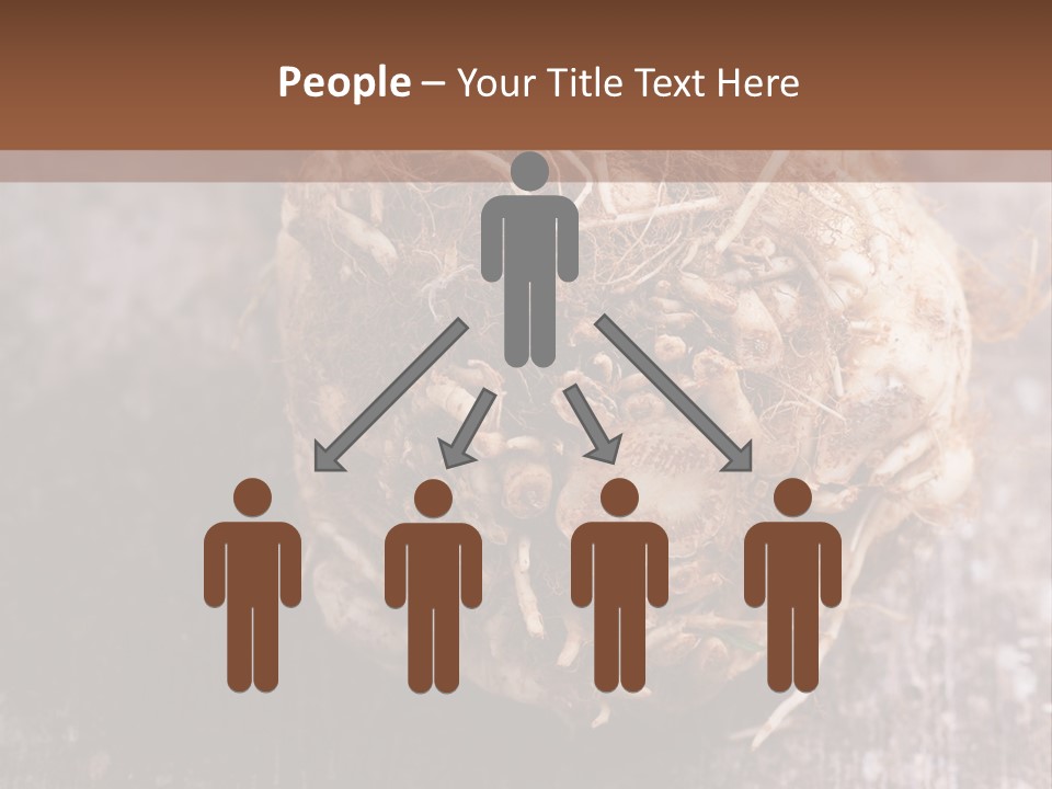 Wooden Vegetarian Leaf PowerPoint Template