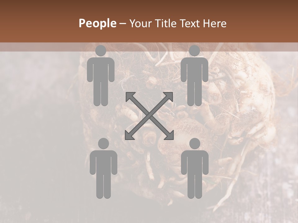 Wooden Vegetarian Leaf PowerPoint Template