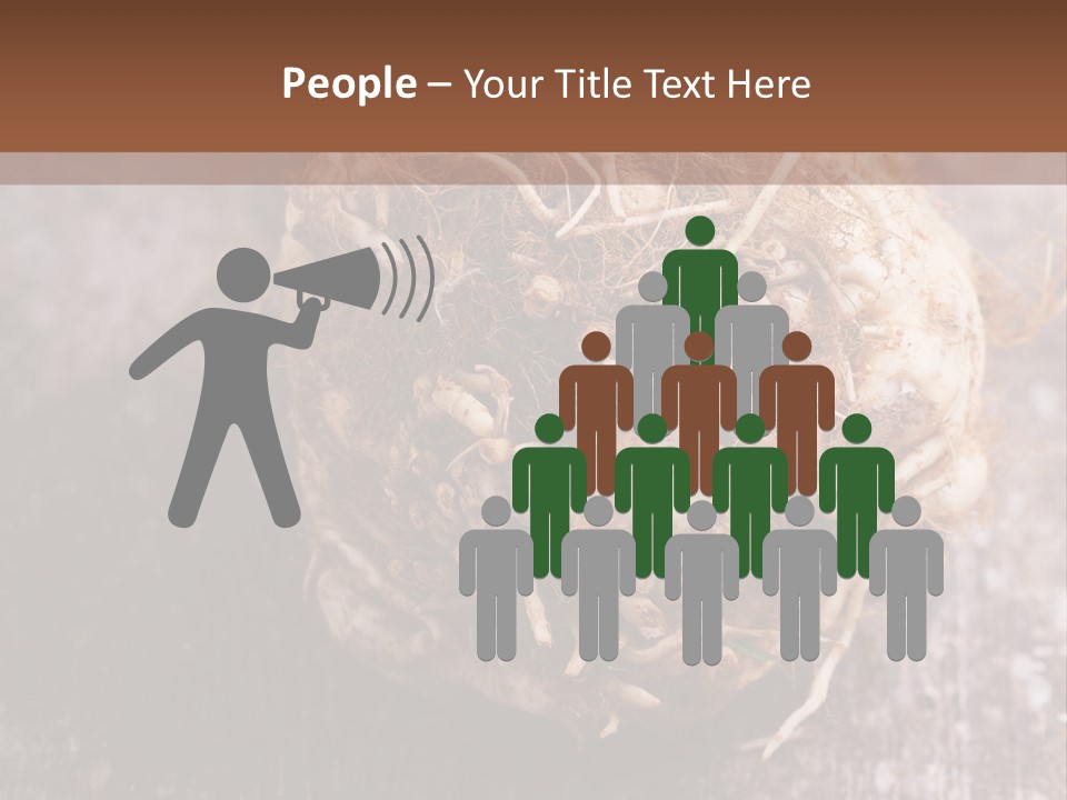 Wooden Vegetarian Leaf PowerPoint Template