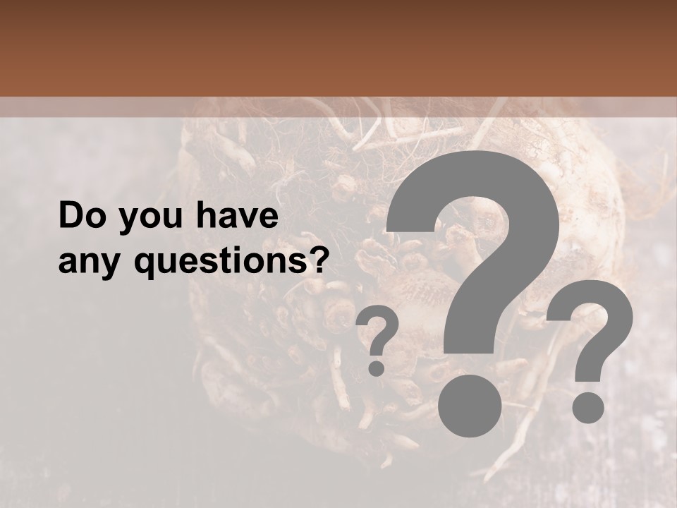 Wooden Vegetarian Leaf PowerPoint Template