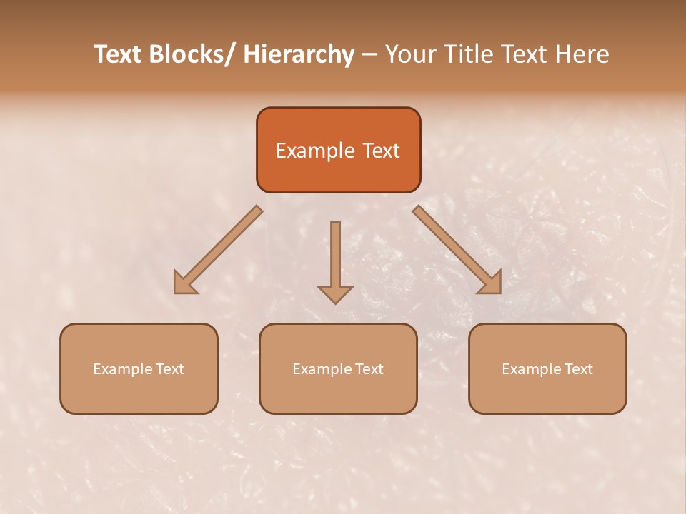 Beauty Patch Dermatology Spot PowerPoint Template