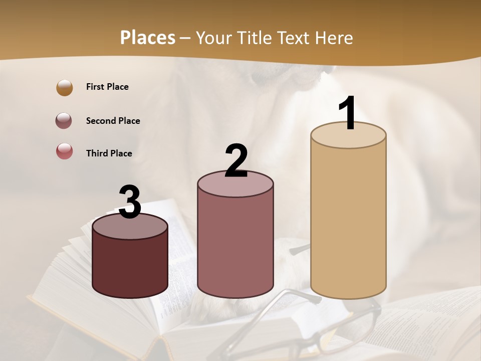 Portrait People Domestic PowerPoint Template