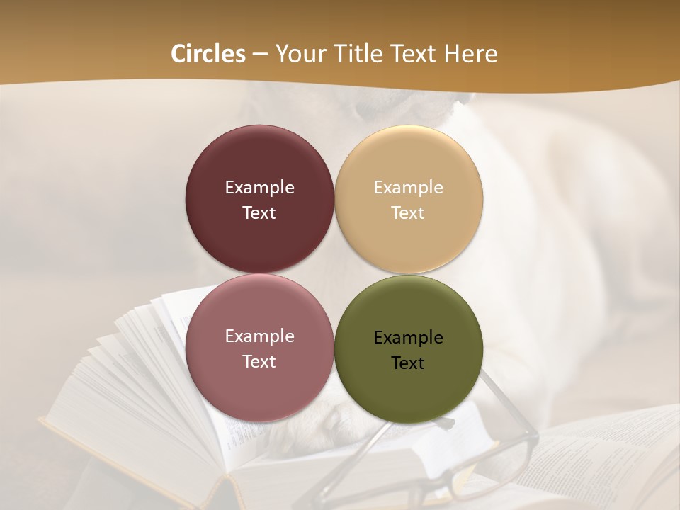 Portrait People Domestic PowerPoint Template