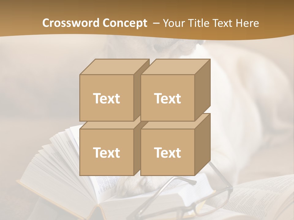 Portrait People Domestic PowerPoint Template