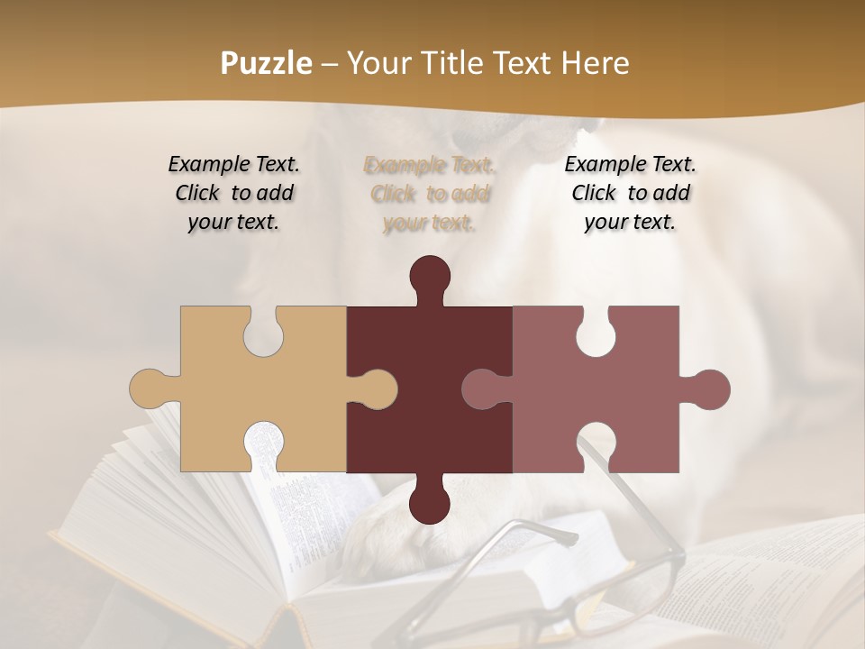 Portrait People Domestic PowerPoint Template