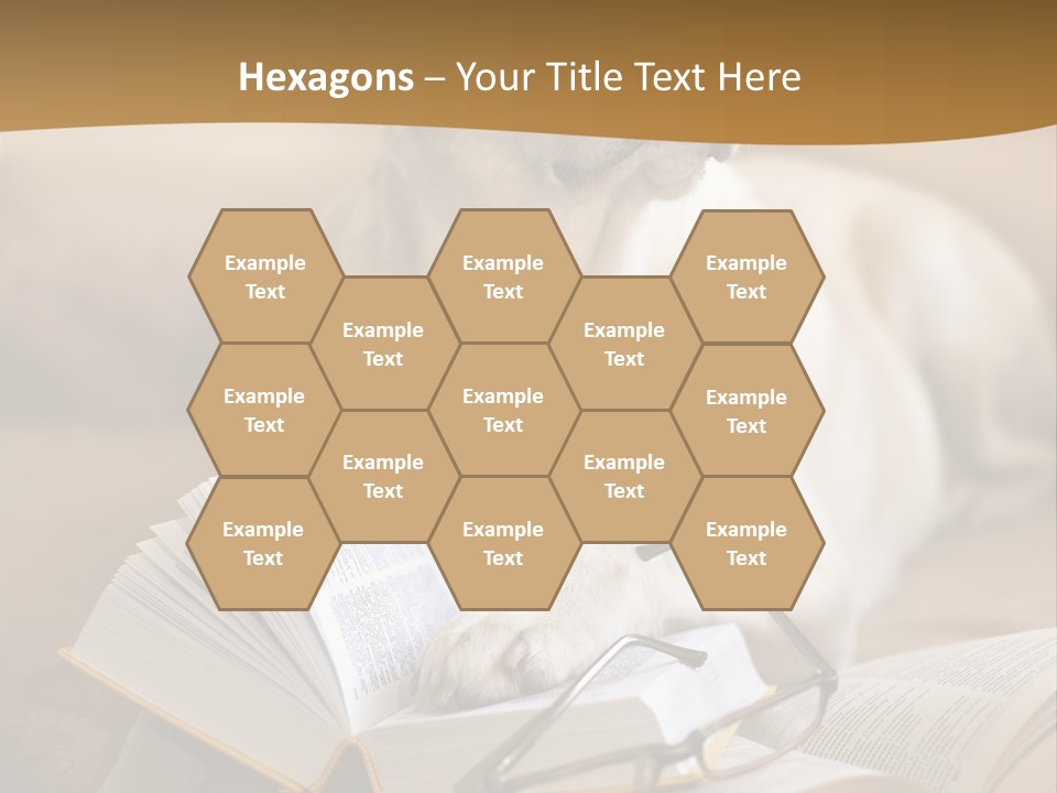 Portrait People Domestic PowerPoint Template