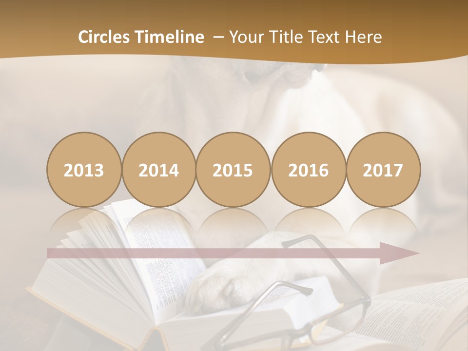 Portrait People Domestic PowerPoint Template