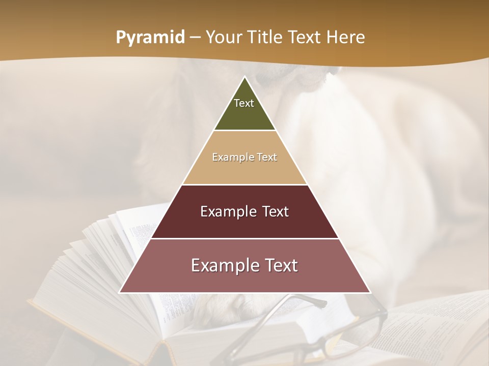 Portrait People Domestic PowerPoint Template