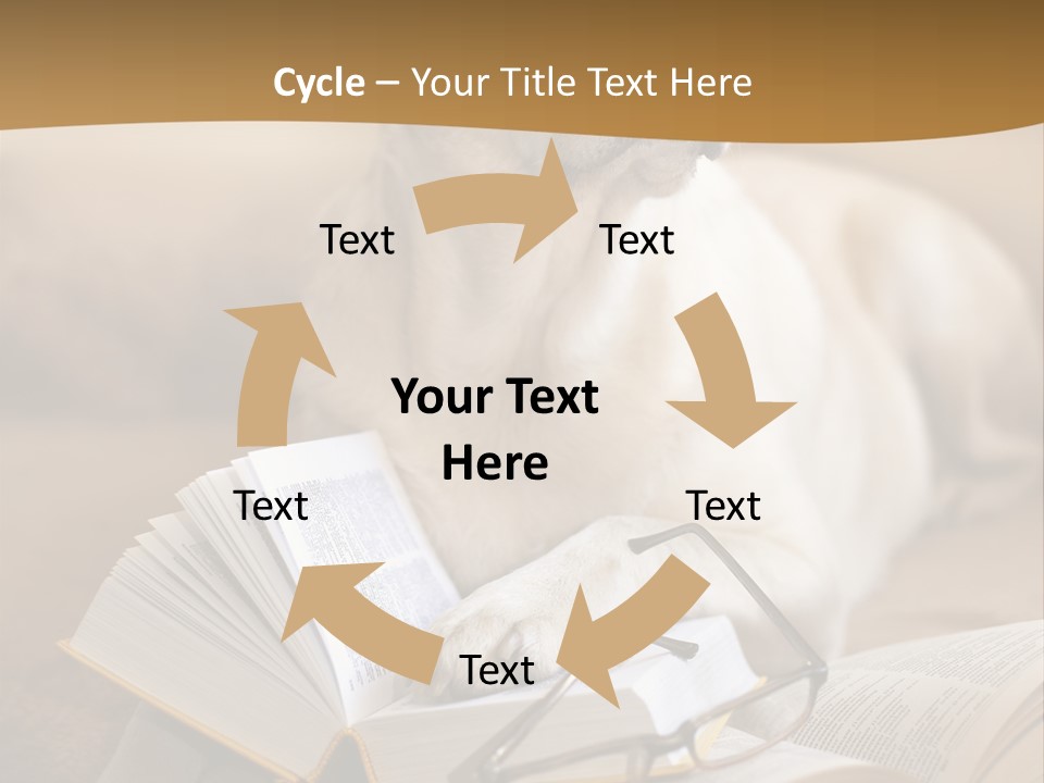 Portrait People Domestic PowerPoint Template