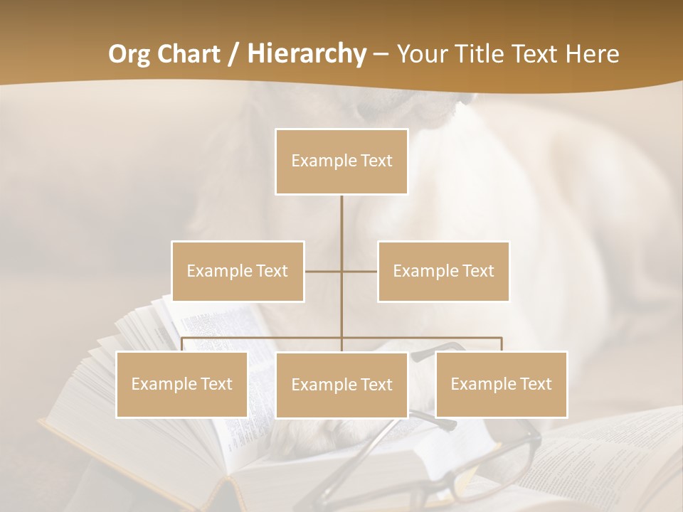 Portrait People Domestic PowerPoint Template