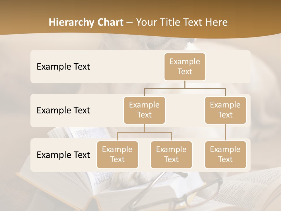 Portrait People Domestic PowerPoint Template