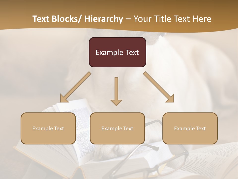 Portrait People Domestic PowerPoint Template