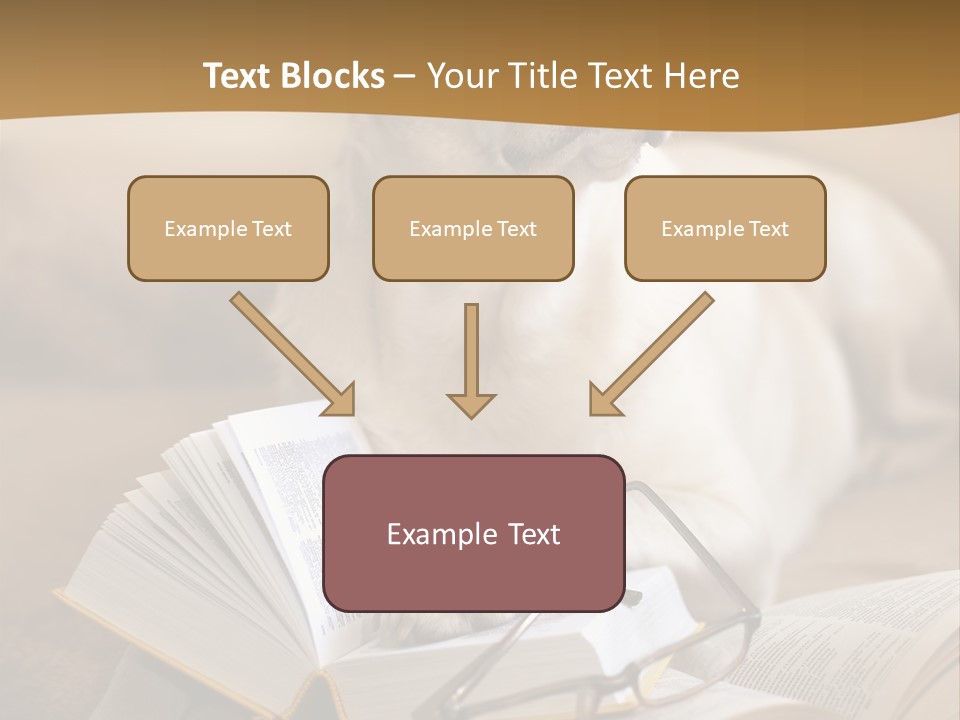 Portrait People Domestic PowerPoint Template