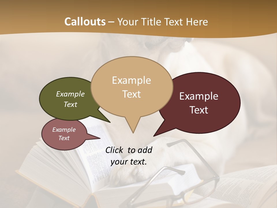 Portrait People Domestic PowerPoint Template