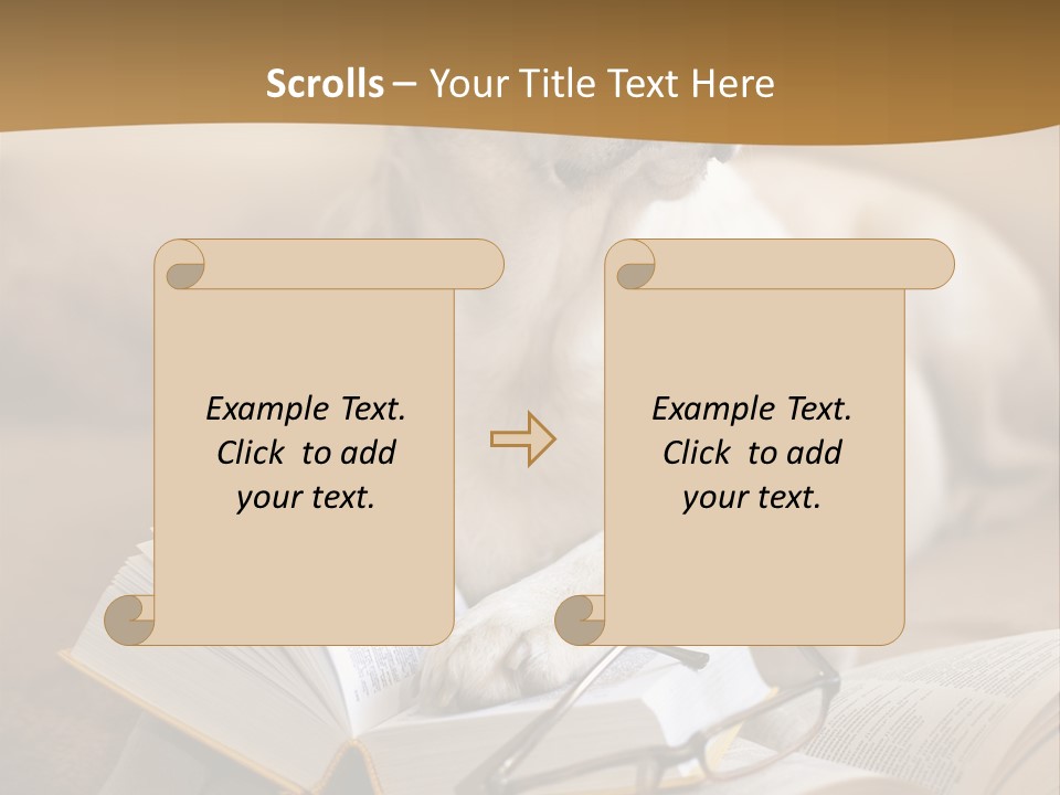 Portrait People Domestic PowerPoint Template