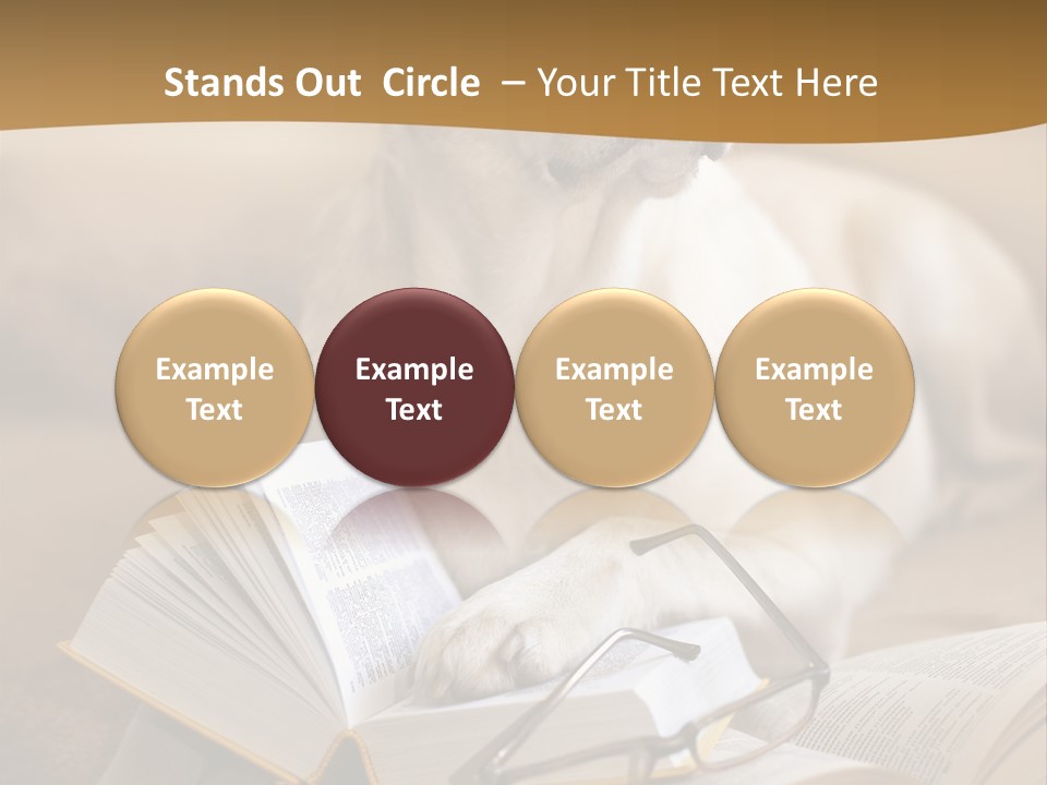 Portrait People Domestic PowerPoint Template