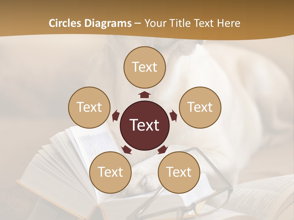 Portrait People Domestic PowerPoint Template