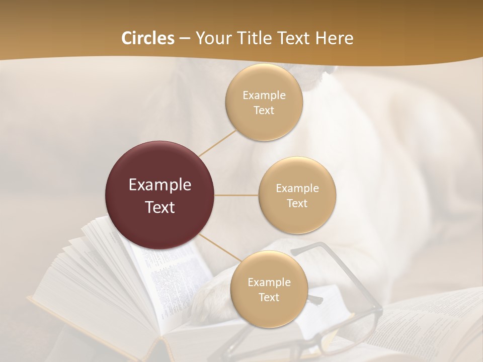 Portrait People Domestic PowerPoint Template