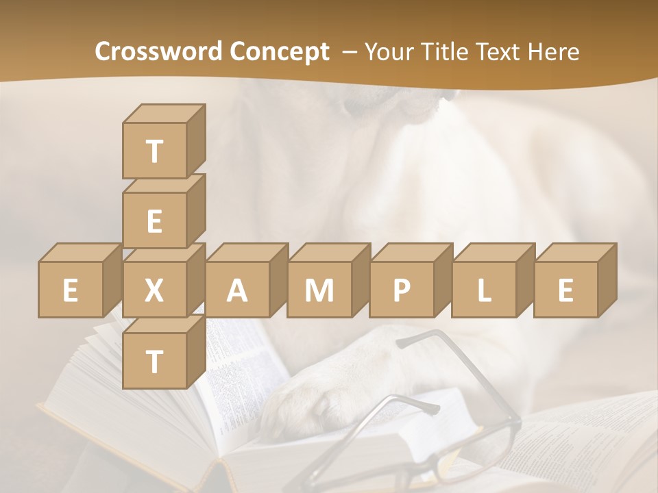 Portrait People Domestic PowerPoint Template