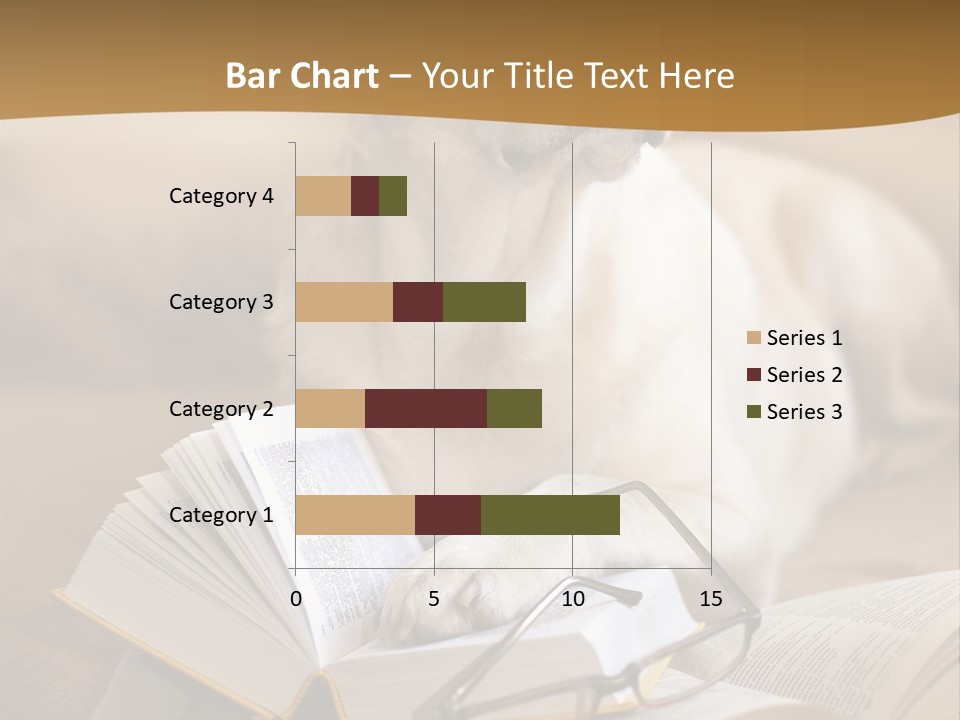 Portrait People Domestic PowerPoint Template