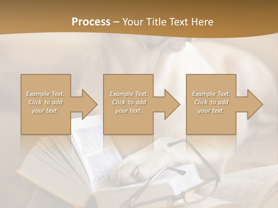 Portrait People Domestic PowerPoint Template