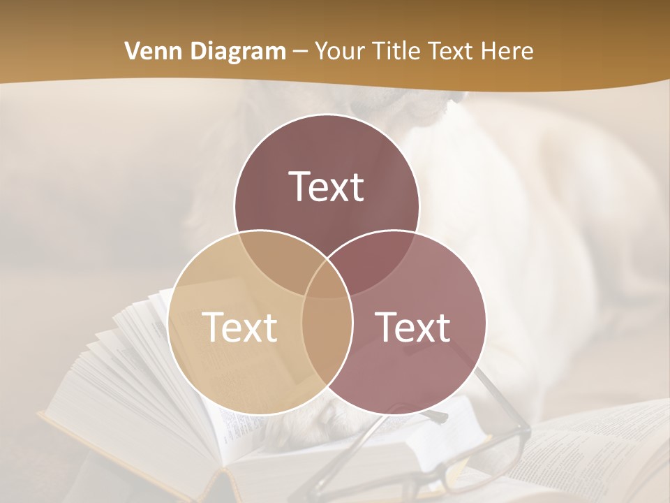 Portrait People Domestic PowerPoint Template