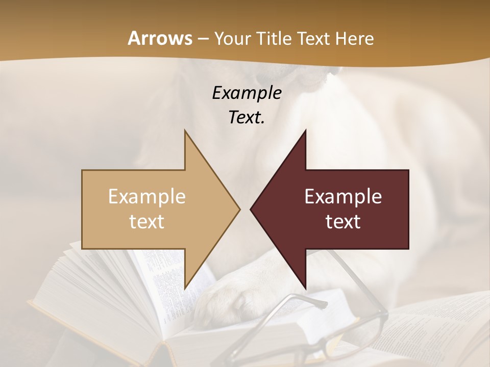 Portrait People Domestic PowerPoint Template