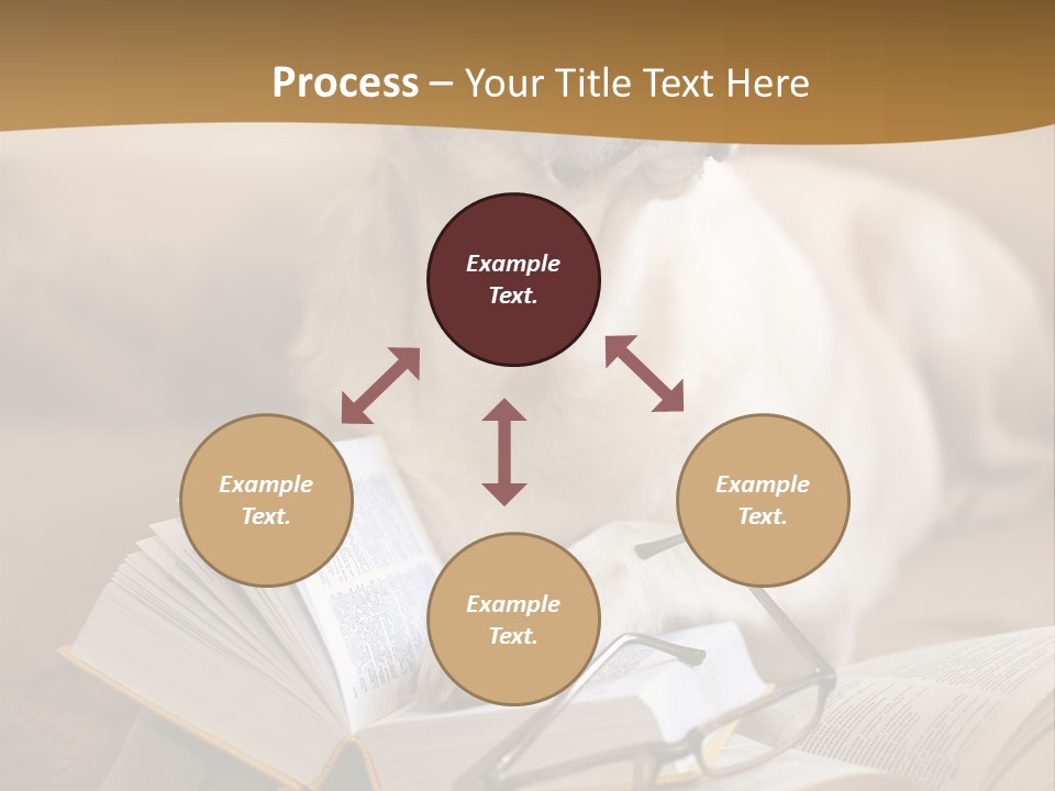 Portrait People Domestic PowerPoint Template