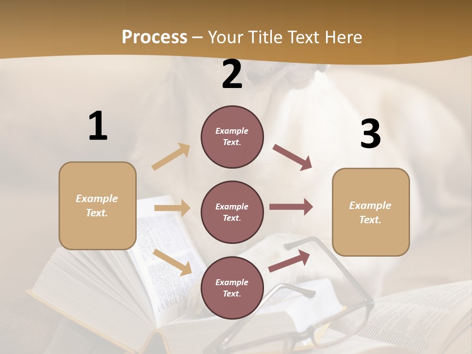Portrait People Domestic PowerPoint Template